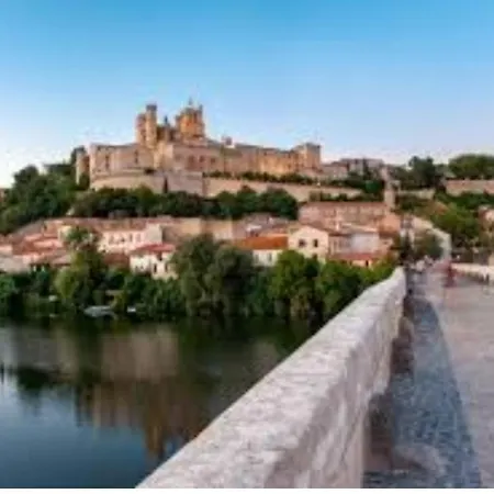 T1 A 5 Min A Pieds Du Centre ! Apartment